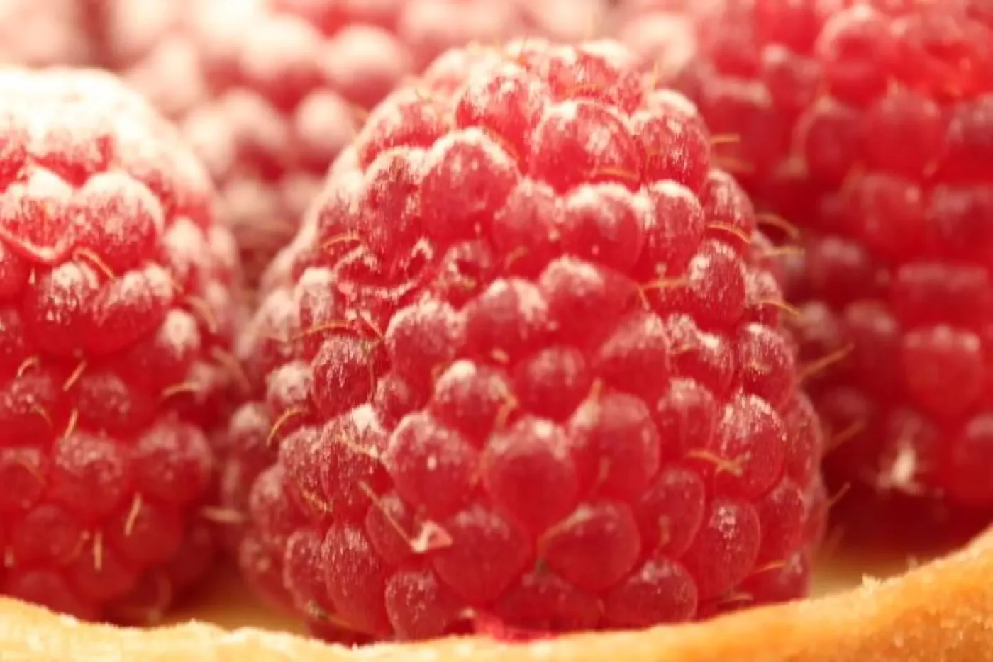 Entremets framboisier réalisé par Nicolas le Pâtissier